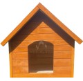 neo-blach-Photoroom.jpg