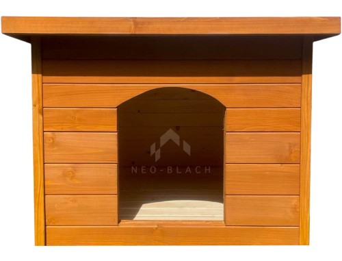 neo-blach-Photoroom.jpg